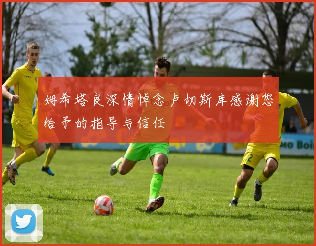 姆希塔良深情悼念卢切斯库感谢您给予的指导与信任